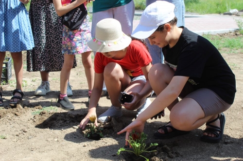Flowering and vegetation care in the territory of Abovyan Child Support Center: EUSEW-2024